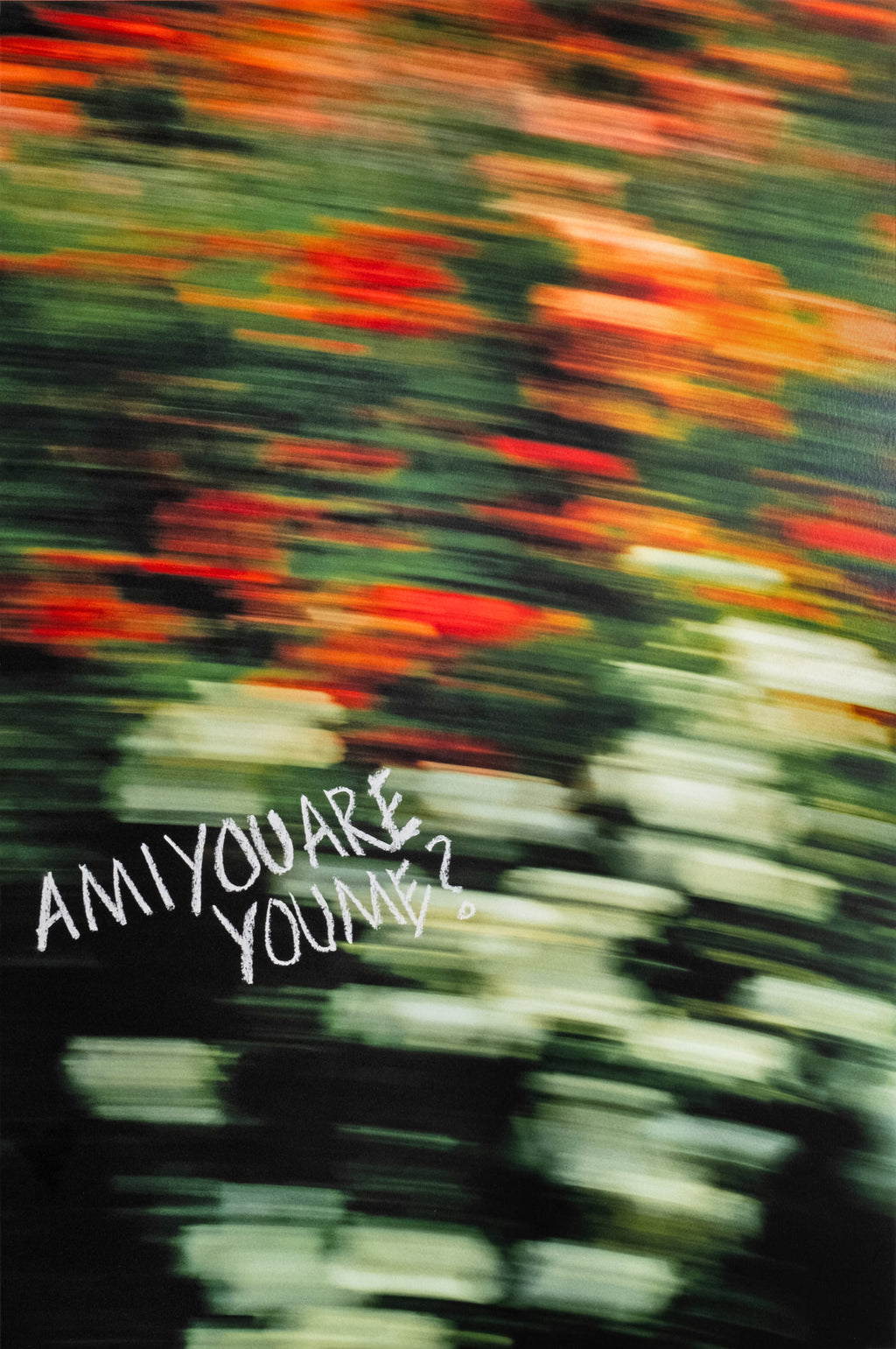 AMI | Limited Fine-Art Print